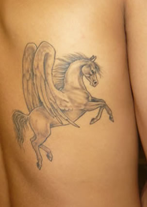 cavallo